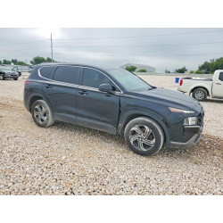 2023 HYUNDAI SANTA FE 5NMS14AJ6PH650384 54879616