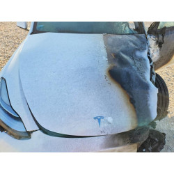 2022 TESLA MODEL Y 7SAYGAEE2NF428270 55325116