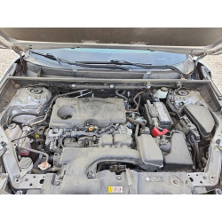 2022 TOYOTA RAV4 2T3H1RFV3NW219786 55524206