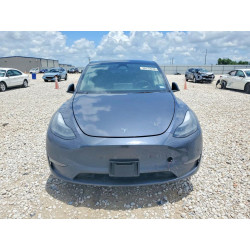 2023 TESLA MODEL Y 7SAYGDED8PF958495 56123646