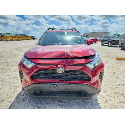 2024 TOYOTA RAV4 2T3W1RFV1RW331628 56544646