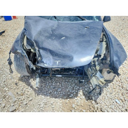 2025 TESLA MODEL 3 5YJ3E1EA6SF905742 56548716