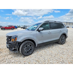 2025 KIA TELLURIDE 5XYP5DGC1SG671469 57195176