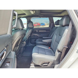 2025 KIA TELLURIDE 5XYP5DGC1SG671469 57195176