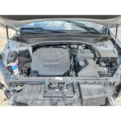 2025 KIA TELLURIDE 5XYP5DGC1SG671469 57195176