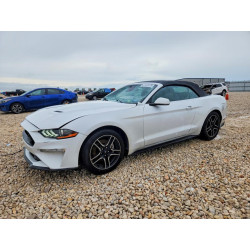 2022 FORD ALL Models 1FATP8UH9N5102033 57479176
