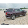 2025 HYUNDAI PALISADE KM8R2DGE2SU845160 57960816