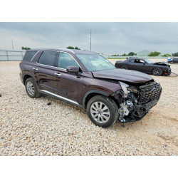 2025 HYUNDAI PALISADE KM8R2DGE2SU845160 57960816