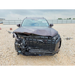2025 HYUNDAI PALISADE KM8R2DGE2SU845160 57960816