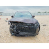 2025 HYUNDAI PALISADE KM8R2DGE2SU845160 57960816