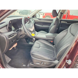 2025 HYUNDAI PALISADE KM8R2DGE2SU845160 57960816