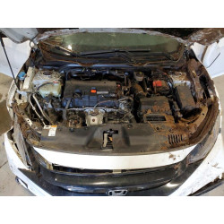 2020 HONDA CIVIC 2HGFC2F8XLH506401 50500716