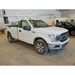 2020 FORD All Models 1FTMF1EP4LKD04260 55827456