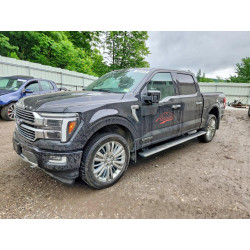 2024 FORD F150 PLATI 1FTFW7LD9RFB72974 58218726