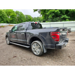 2024 FORD F150 PLATI 1FTFW7LD9RFB72974 58218726
