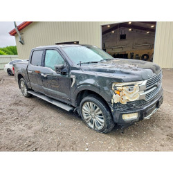 2024 FORD F150 PLATI 1FTFW7LD9RFB72974 58218726