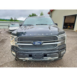 2024 FORD F150 PLATI 1FTFW7LD9RFB72974 58218726