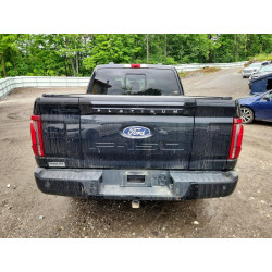 2024 FORD F150 PLATI 1FTFW7LD9RFB72974 58218726