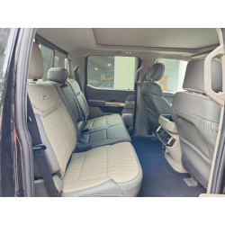 2024 FORD F150 PLATI 1FTFW7LD9RFB72974 58218726