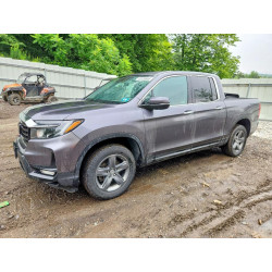 2022 HONDA RIDGELINE 5FPYK3F79NB016846 61555666