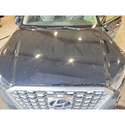 2022 HYUNDAI PALISADE KM8RDHE5NU376756 62056956