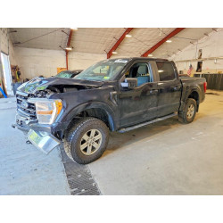 2021 FORD F-150 1FTFW1E53MKE30229 62201696