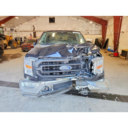 2021 FORD F-150 1FTFW1E53MKE30229 62201696