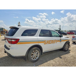 2023 DODGE DURANGO 1C4SDJFTXPC558807 59844856