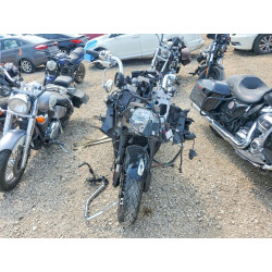 2023 INDIAN MOTORCYCLE CO. CHALLENGER 56KLCARR8P3418904 62599466