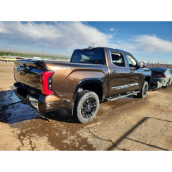 2025 TOYOTA TUNDRA 5TFMA5DB1SX268914 58513136