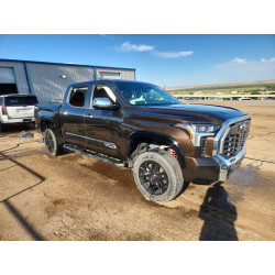 2025 TOYOTA TUNDRA 5TFMA5DB1SX268914 58513136