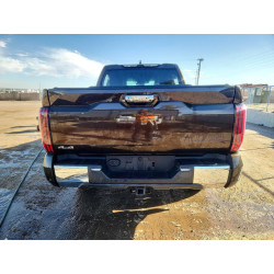 2025 TOYOTA TUNDRA 5TFMA5DB1SX268914 58513136