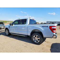2022 FORD F150 1FTFW1E56NKE99983 59052426