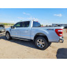 2022 FORD F150 1FTFW1E56NKE99983 59052426