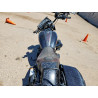 2024 HARLEY-DAVIDSON FLTRXSTSE 1HD1TL813RB959791 59306606