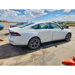 2024 HONDA ACCORD 1HGCY2F66RA052822 59387406
