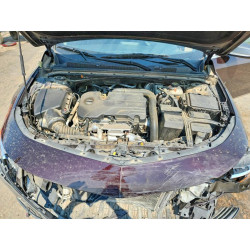 2021 CHEVROLET MALIBU 1G1ZB5ST6MF046580 60181456