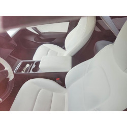 2021 TESLA MODEL 3 5YJ3E1EB8MF856085 60607196