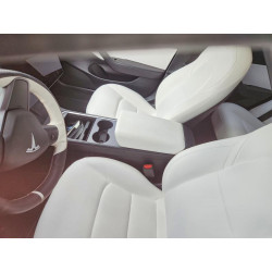 2021 TESLA MODEL 3 5YJ3E1EB8MF856085 60607196