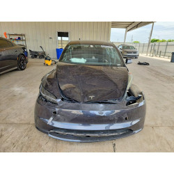 2025 TESLA MODEL 3 5YJ3E1EA8SF916404 61031276