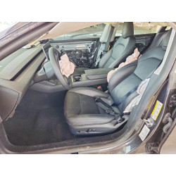 2025 TESLA MODEL 3 5YJ3E1EA8SF916404 61031276
