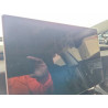 2025 TESLA MODEL 3 5YJ3E1EA8SF916404 61031276