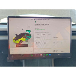 2024 TESLA MODEL 3 5YJ3E1EA9RF740618 61146796