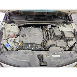 2024 KIA SPORTAGE KNDPUCDF1R7306079 61945956