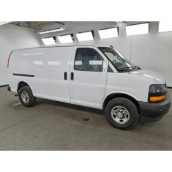 2021 CHEVROLET EXPRESS 1GCWGAFP9M1302080 64313656