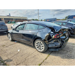 2022 TESLA MODEL 3 5YJ3E1EA3NF304003 64496806