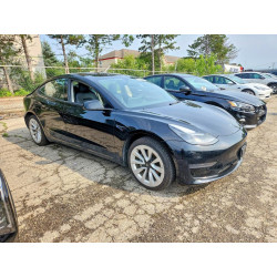 2022 TESLA MODEL 3 5YJ3E1EA3NF304003 64496806