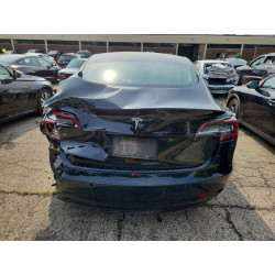 2022 TESLA MODEL 3 5YJ3E1EA3NF304003 64496806