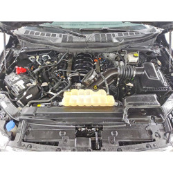 2021 FORD F150 1FTFW1E51MFB96293 64641796