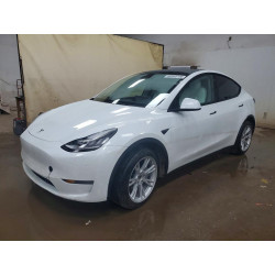 2023 TESLA MODEL Y 7SAYGDEE5PF610775 60445146
